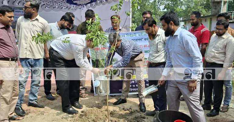 বৃক্ষরোপণ কর্মসূচি